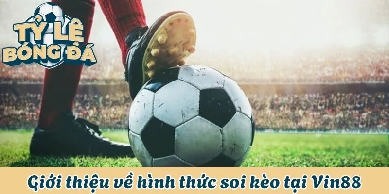 Soi Kèo Nhà Cái Vin88 - Dự Đoán Chuẩn, Thắng Tiền Lớn 1 Giới thiệu về hình thức soi kèo nhà cái Vin88