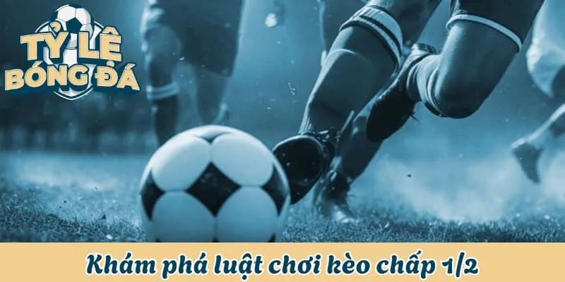 Kèo Chấp 1/2 - Tìm Hiểu Luật Chơi Và Cách Tính Thắng Thua 1 Khám phá thông tin luật chơi kèo chấp 1/2