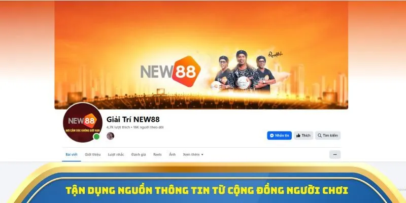 New88 - Địa Chỉ Cá Cược Thể Thao An Toàn, Đa Dạng Kèo Cược 3 Tận dụng nguồn thông tin từ cộng đồng người chơi
